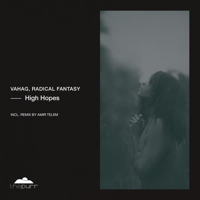 High Hopes cover art
