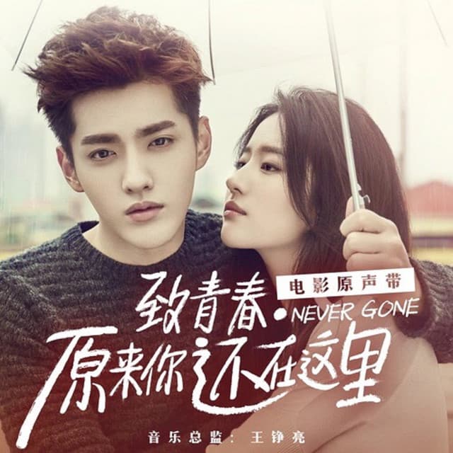 还在这里（电影《致青春･原来你还在这里》主题曲） cover art