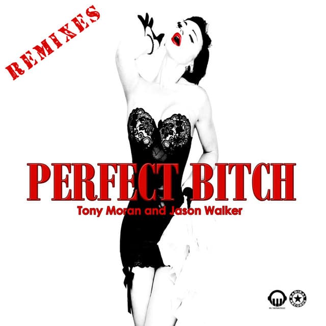 Perfect Bitch - Luis Erre Bearlin Group Remix cover art