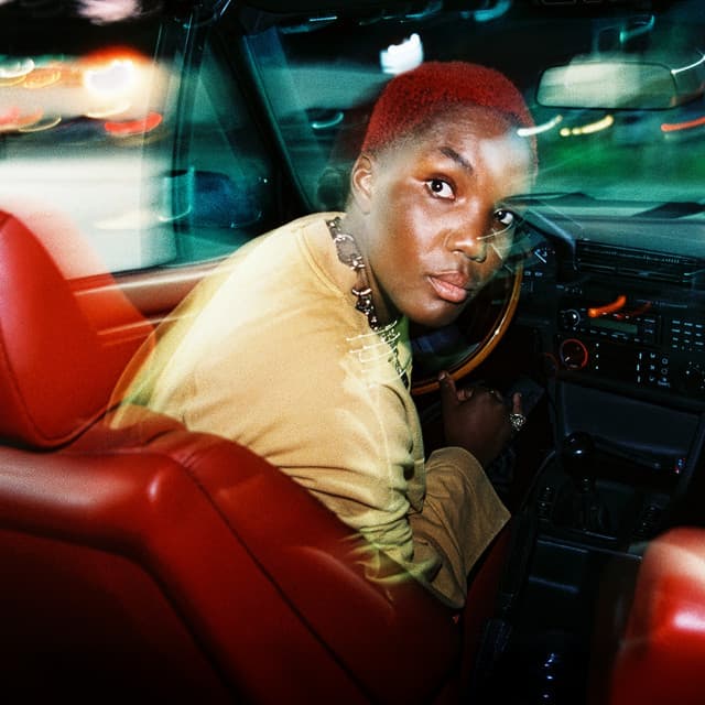 Ambiguous Desire cover art