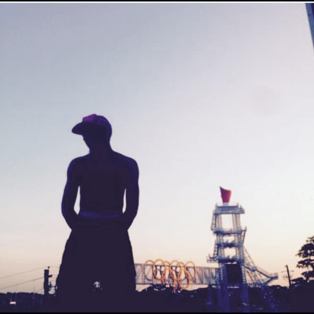 Survival cover art