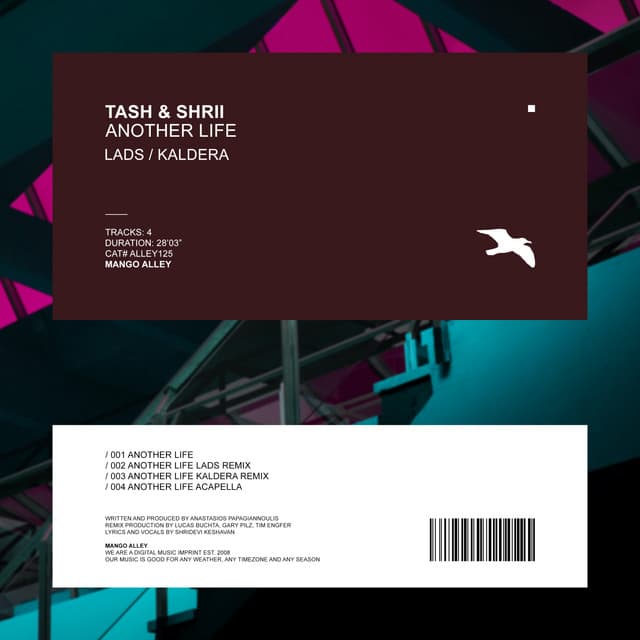 Another Life - Kaldera Remix cover art