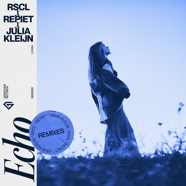 Echo - DIM FLO Remix cover art