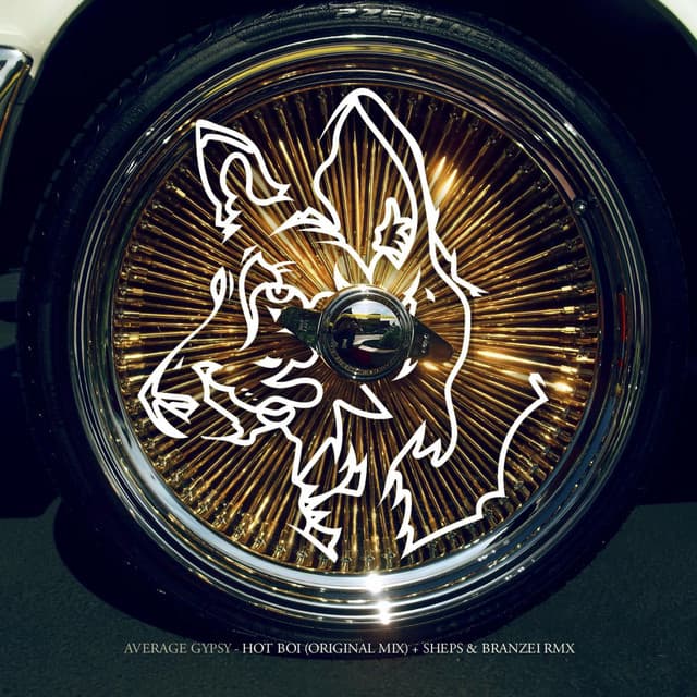 Hot Boi - Sheps Rmx cover art