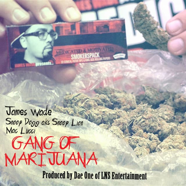 Gang Of Marijuana (feat. Mac Lucci) cover art