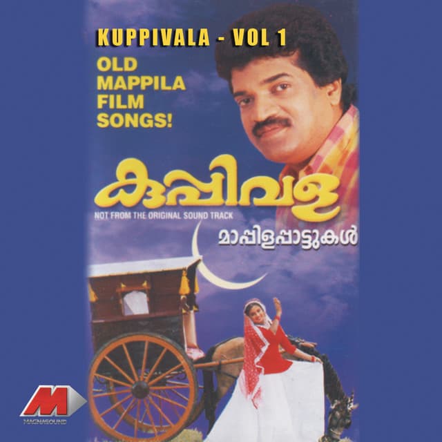 Koottinnilam Kili cover art