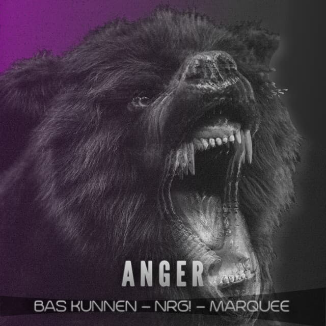 Anger (Niccolò Vencedor Remix) cover art