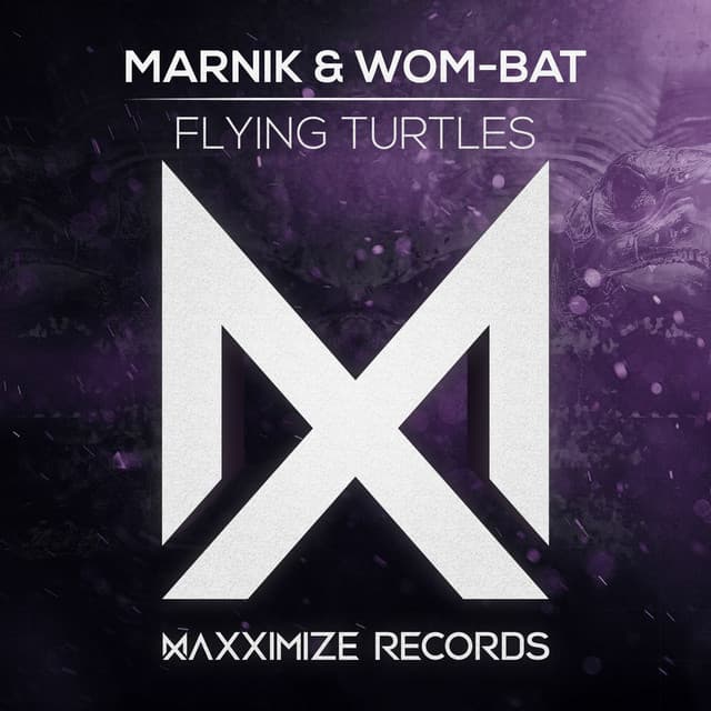 Flying Turtles - Extended Mix cover art