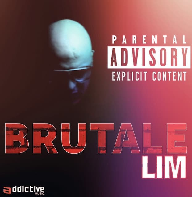Trop de blessures cover art