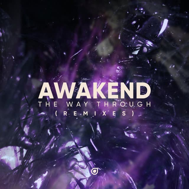 Walked Through Fire - REMNANT.exe Remix cover art