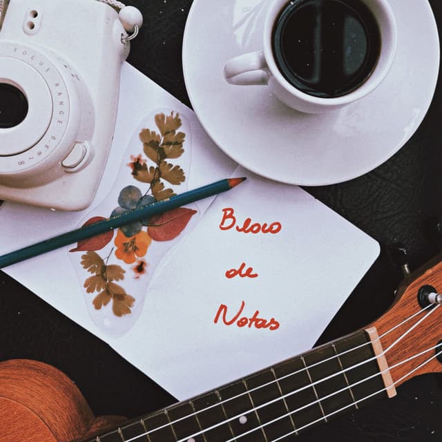 Nota Sobre a Solitude cover art