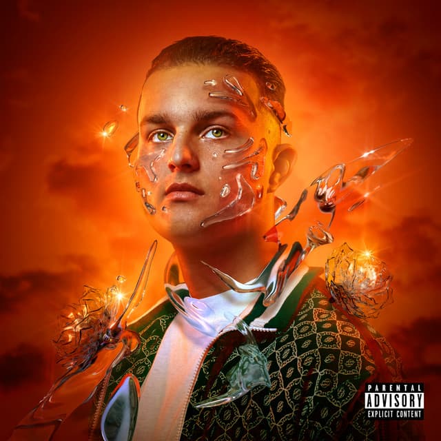 Einstein cover art