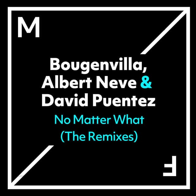 No Matter What - VIP Extended Mix cover art