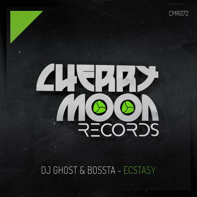 ECSTASY (INSTRUMENTAL MIX) cover art