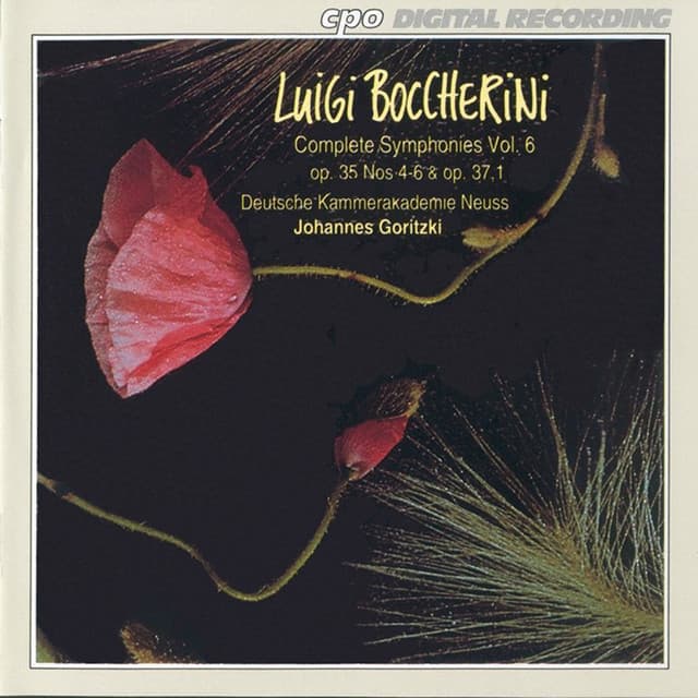 Boccherini: Complete Symphonies, Vol. 6 cover art