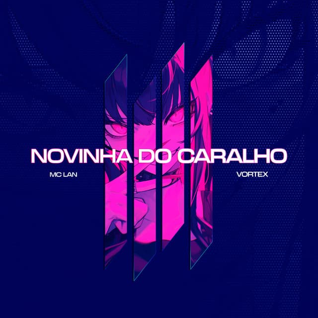 NOVINHA DO CARALHO cover art