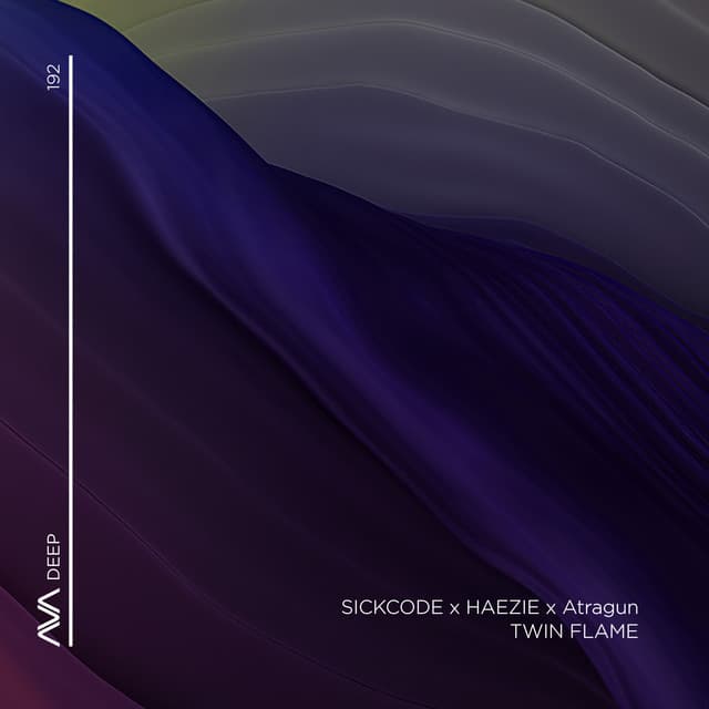 Twin Flame cover art