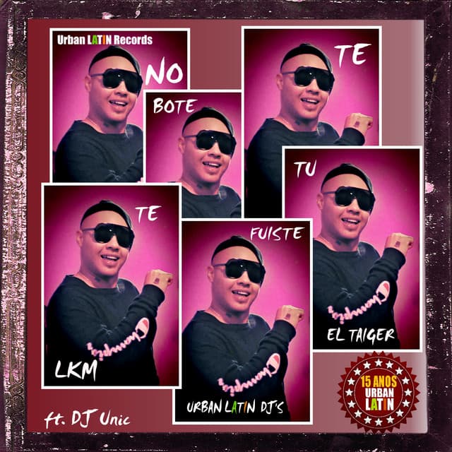 No Te Bote - Tu Te Fuiste cover art