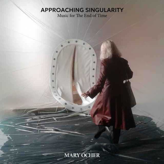 Approaching Singularity cover art