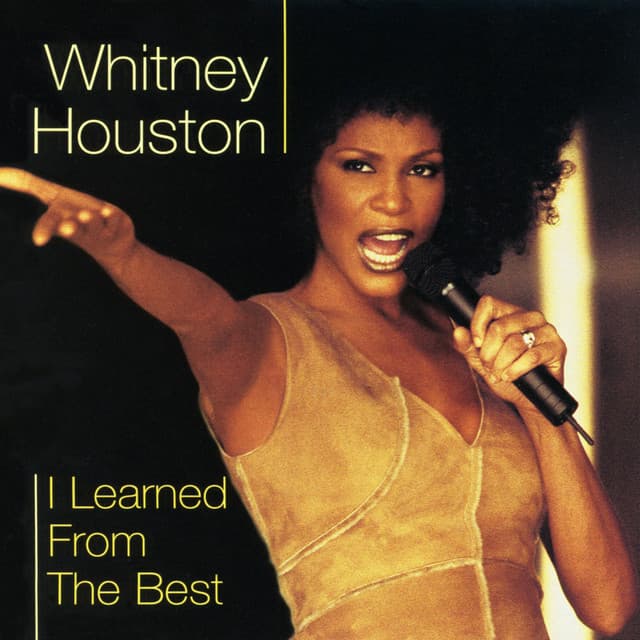 Dance Vault Remixes - I Learned from the Best cover art