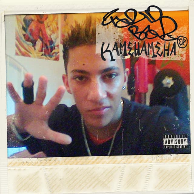SINALOA GANG cover art