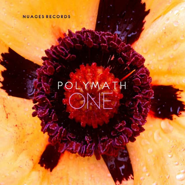 Polymath
