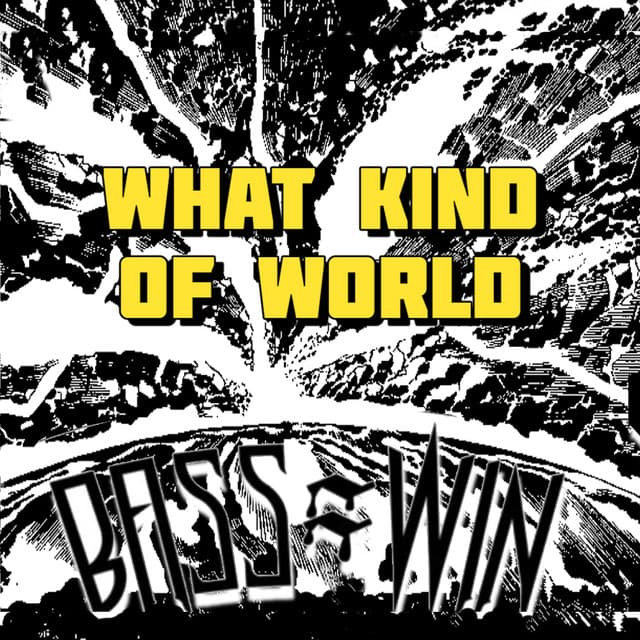 What Kind of World - Vip cover art