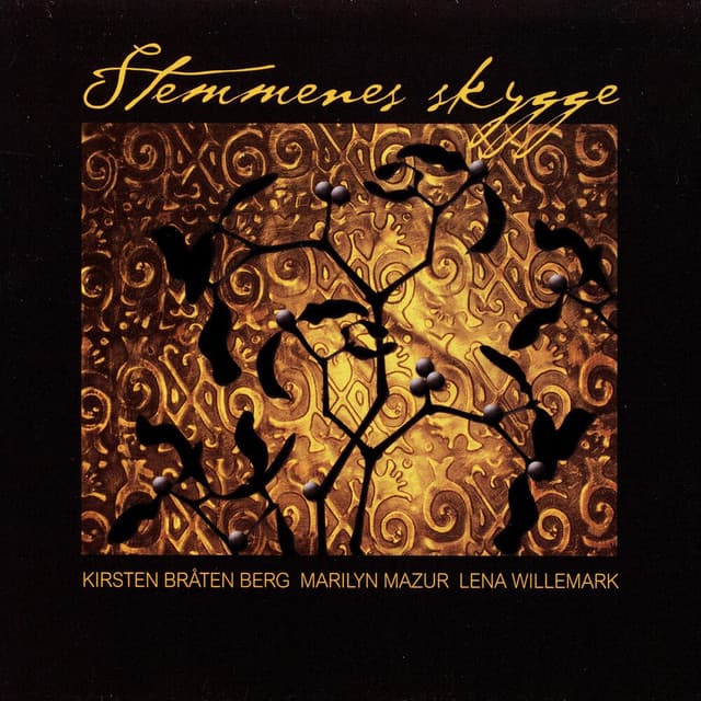 Stemmenes skygge cover art