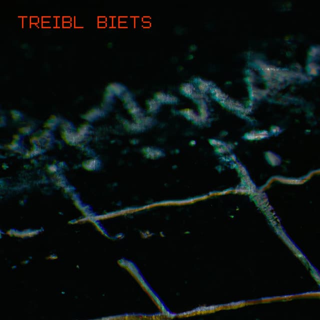 Treibl Biets cover art