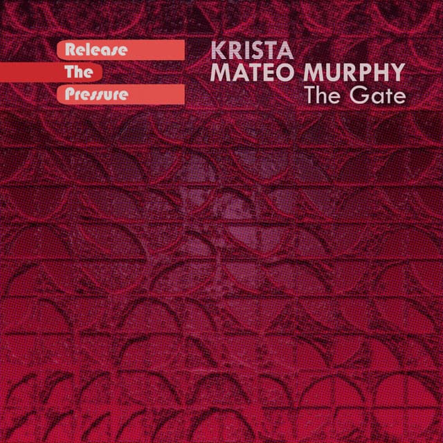 The Gate - Miguel Graca & Krista Remix cover art