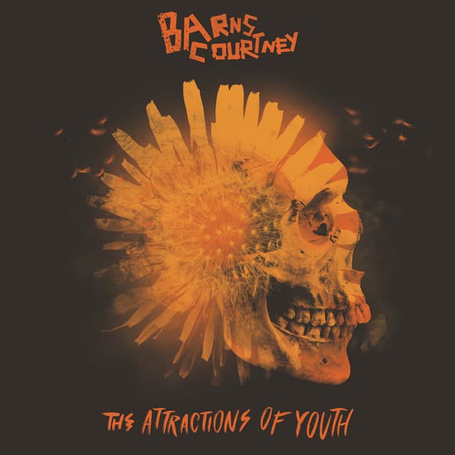 The Attractions Of Youth cover art