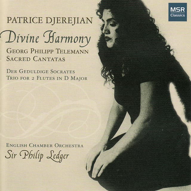 Patrice Djerejian