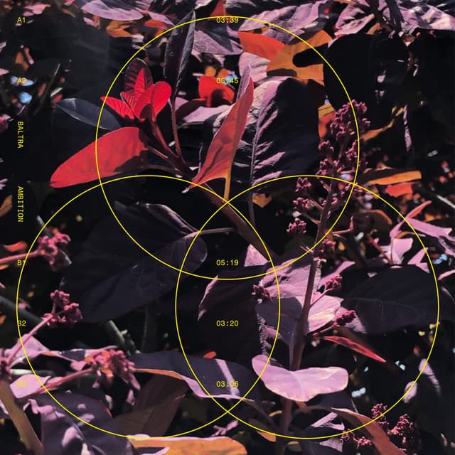 Ambition cover art
