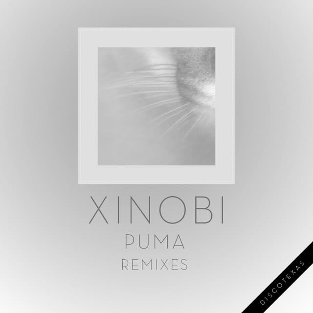 Woods - Mirror People Remix cover art
