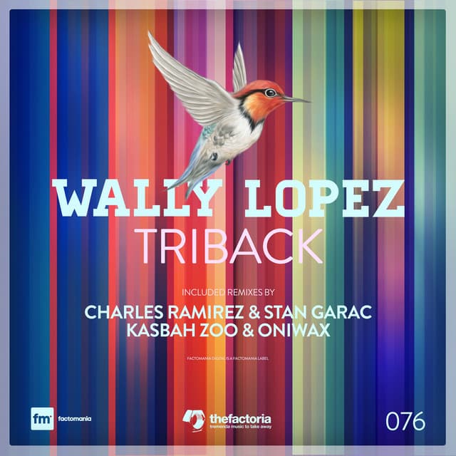 Triback - Kasbah Zoo & Oniwax Remix cover art
