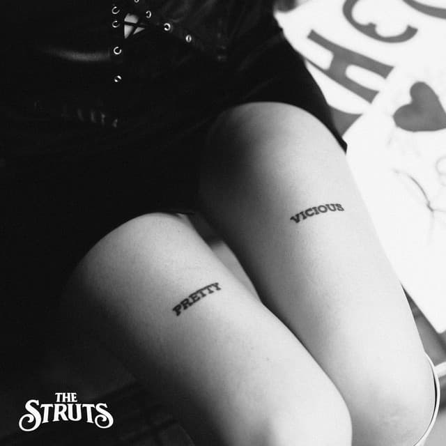 Pretty Vicious cover art
