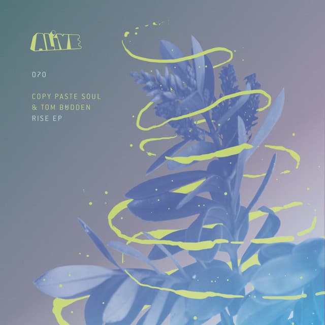 Rise - Original Mix cover art
