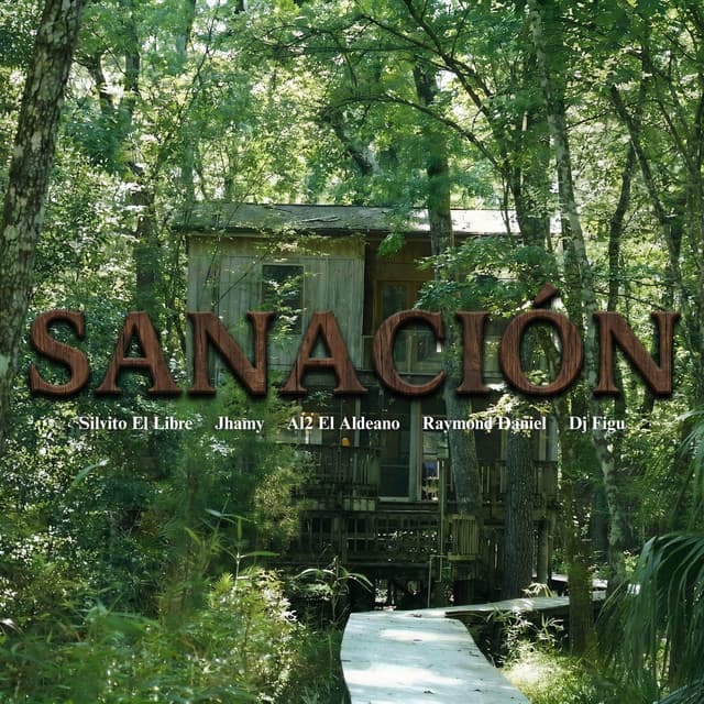 #5 Sanación cover art