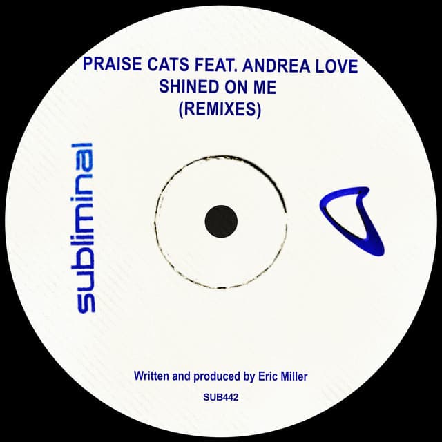 Shined On Me (Remixes) cover art