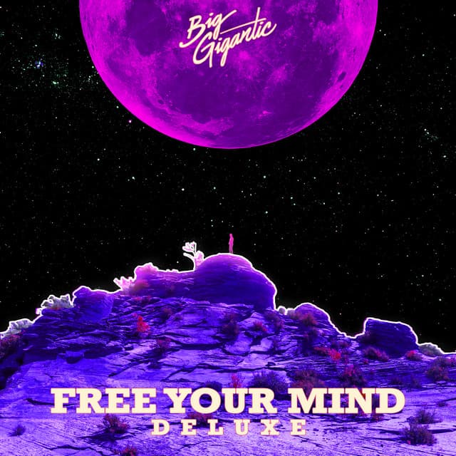 Free Your Mind (Deluxe Version) cover art