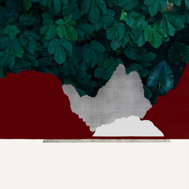Shoulders cover art