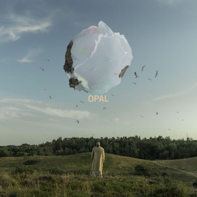 Morpho cover art