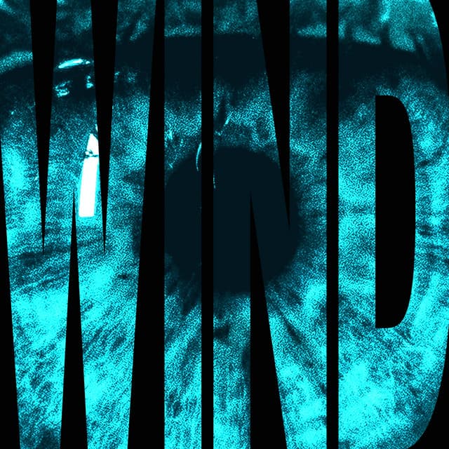 WIND cover art