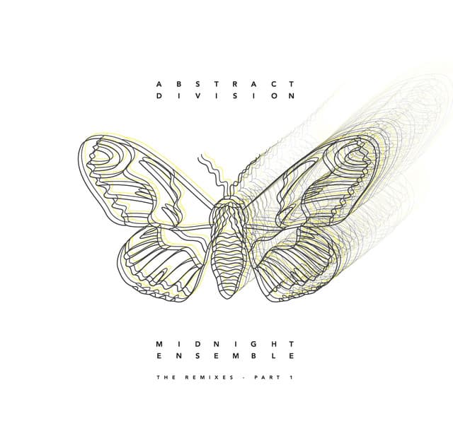 Perception is Reality - DJ Nobu Remix cover art