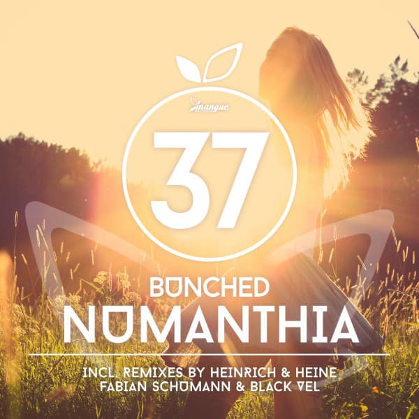 Numanthia - Heinrich & Heine Remix cover art