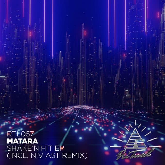 Shake'n'hit - Niv Ast Remix cover art
