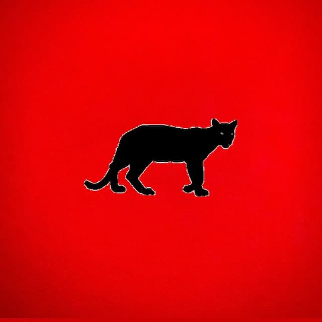 Cool Cat cover art