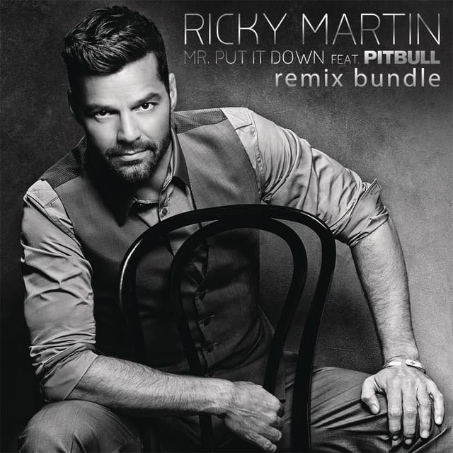 Mr. Put It Down (feat. Pitbull) - DJ Drew & Mayeda Remix cover art