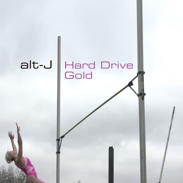 Hard Drive Gold cover art