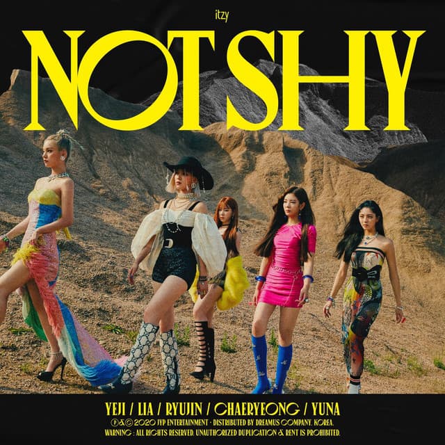 Not Shy cover art